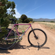 Illustration for article titled Vintage Trek 8000 Mullet Rigid Singlespeed Build Complete